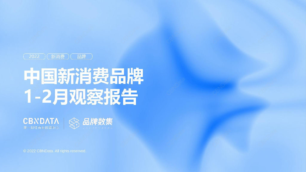 CBNData：中国新消费品牌2023年1-2月观察报告