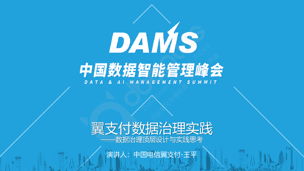 王平：翼支付数据治理实践