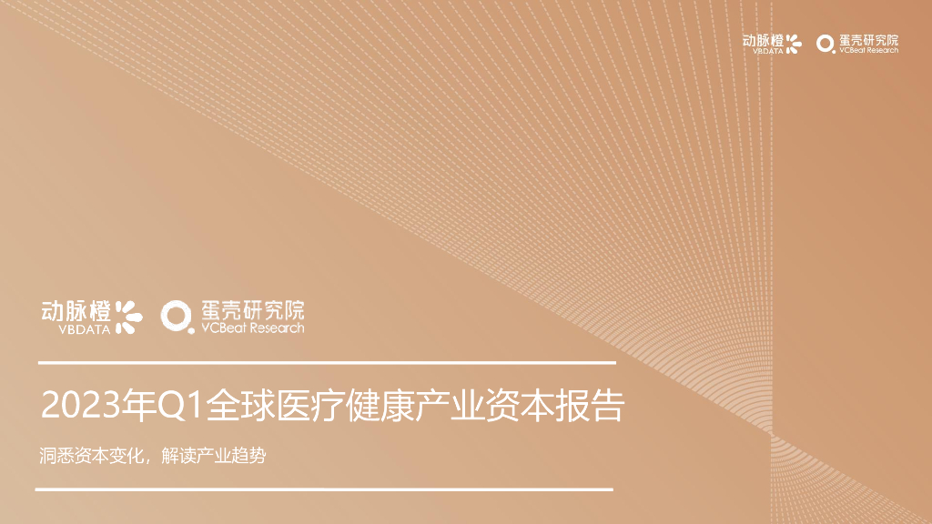 动脉橙：2023年Q1全球医疗健康产业资本报告