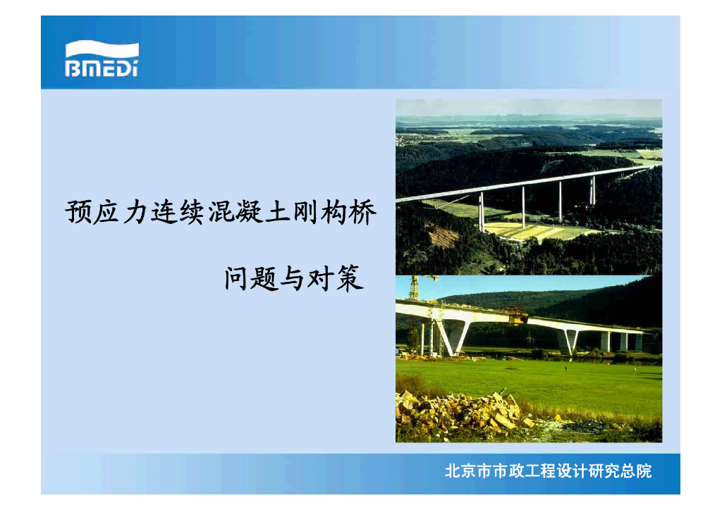 预应力连续混凝土刚构桥问题与对策（PDF，53页）