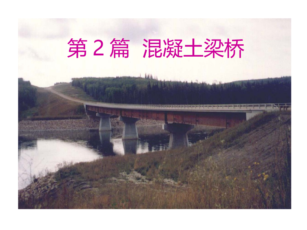 混凝土梁桥设计/构造/计算总结（126页）
