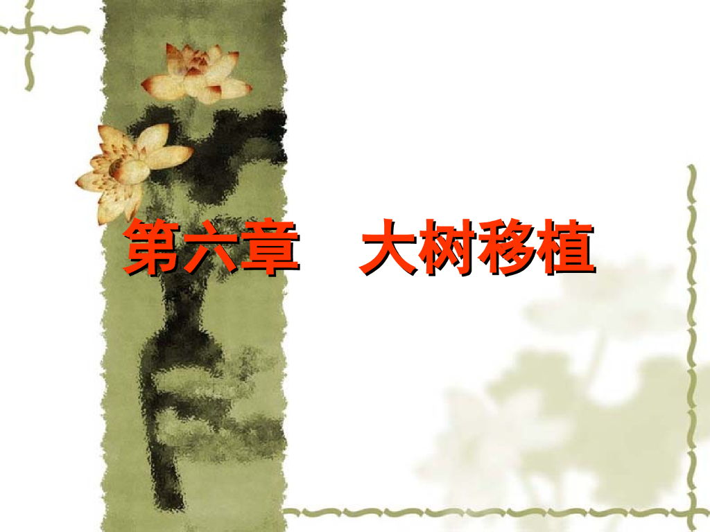 市政工程大树移栽施工过程（ppt总结66页）