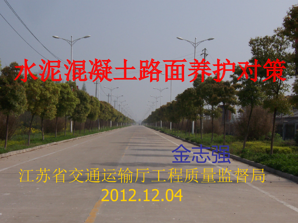 水泥混凝土路面养护对策（270页）