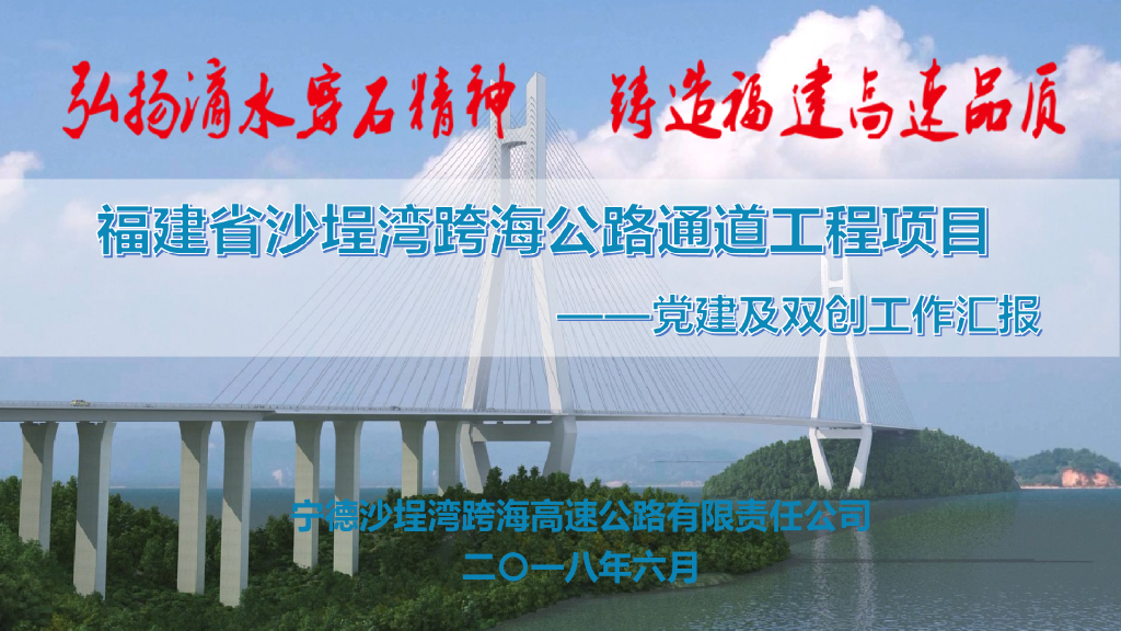 [福建]跨海公路通道工程项目绿色品质建设工作汇报