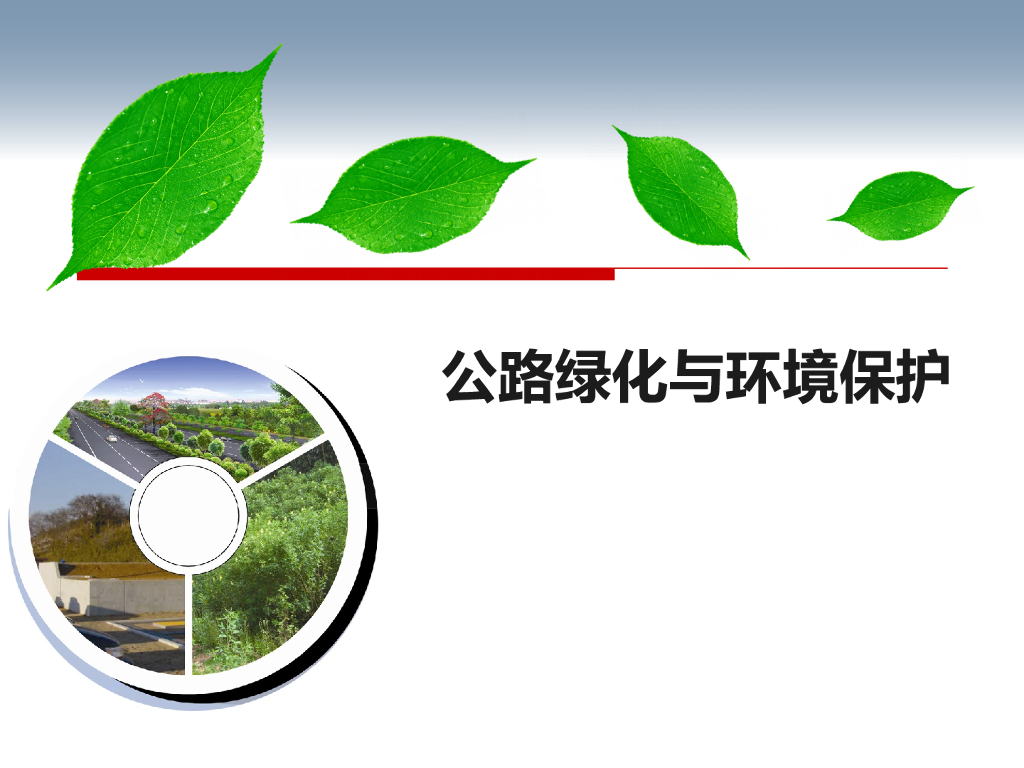 公路绿化与环境保护（91页）