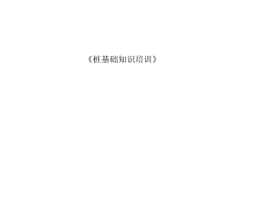 桩基础功能类型机理及承载力设计讲义(253P)