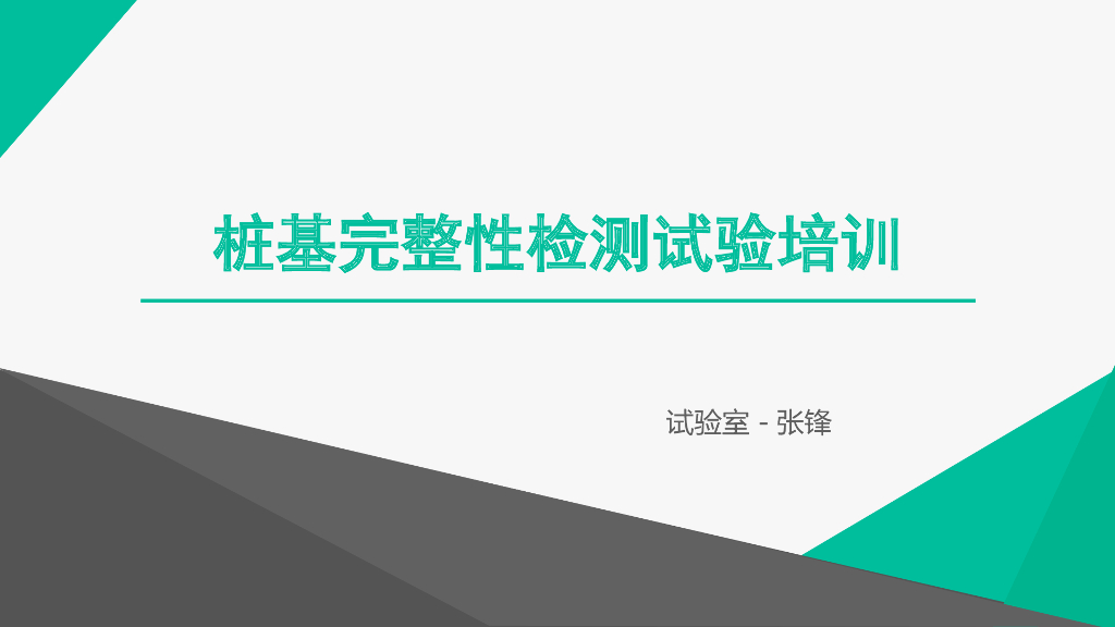 桩基桩身完整性检测培训