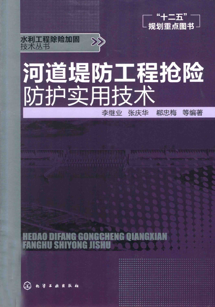 河道堤防工程抢险实用技术（电子书）