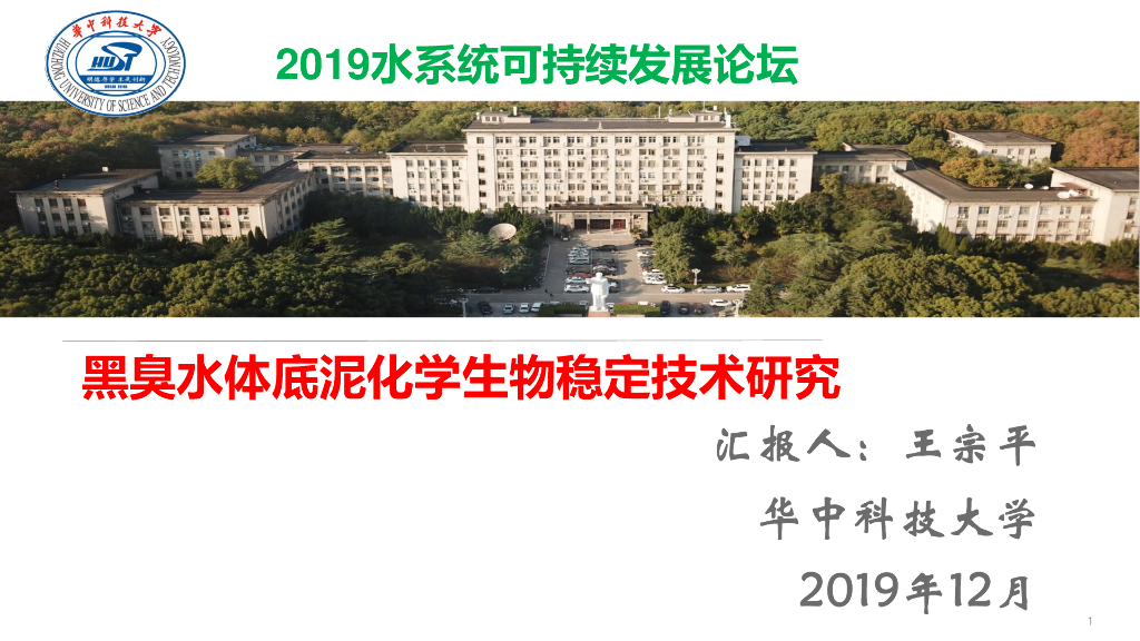 黑臭水体底泥化学生物稳定技术研究​(2019)