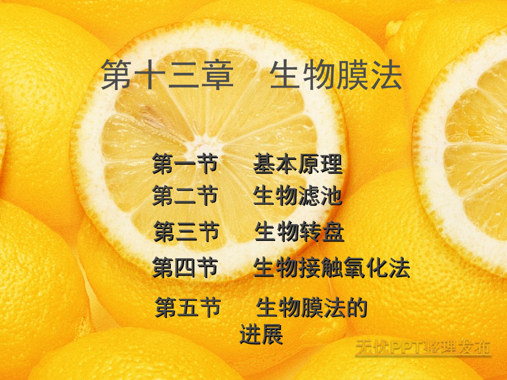 水污染控制工程之生物膜法（134页）