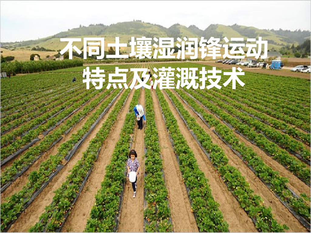 不同土壤湿润锋运动特点及灌溉技术