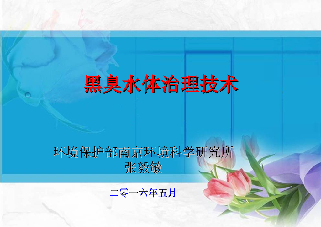 黑臭水体治理技术（40页，内容丰富）