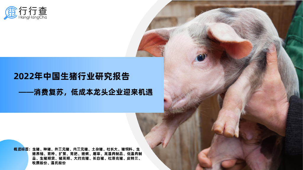 行行查：2022年中国生猪行业研究报告