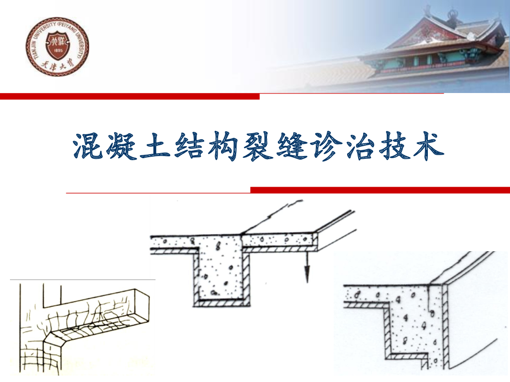 混凝土结构裂缝诊治技术（84P）