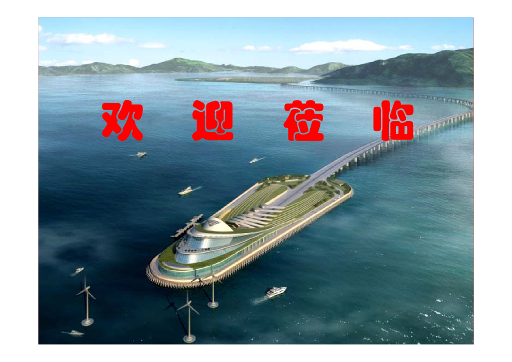港珠澳大桥主体工程桥梁设计方案及创新（PDF，124页）