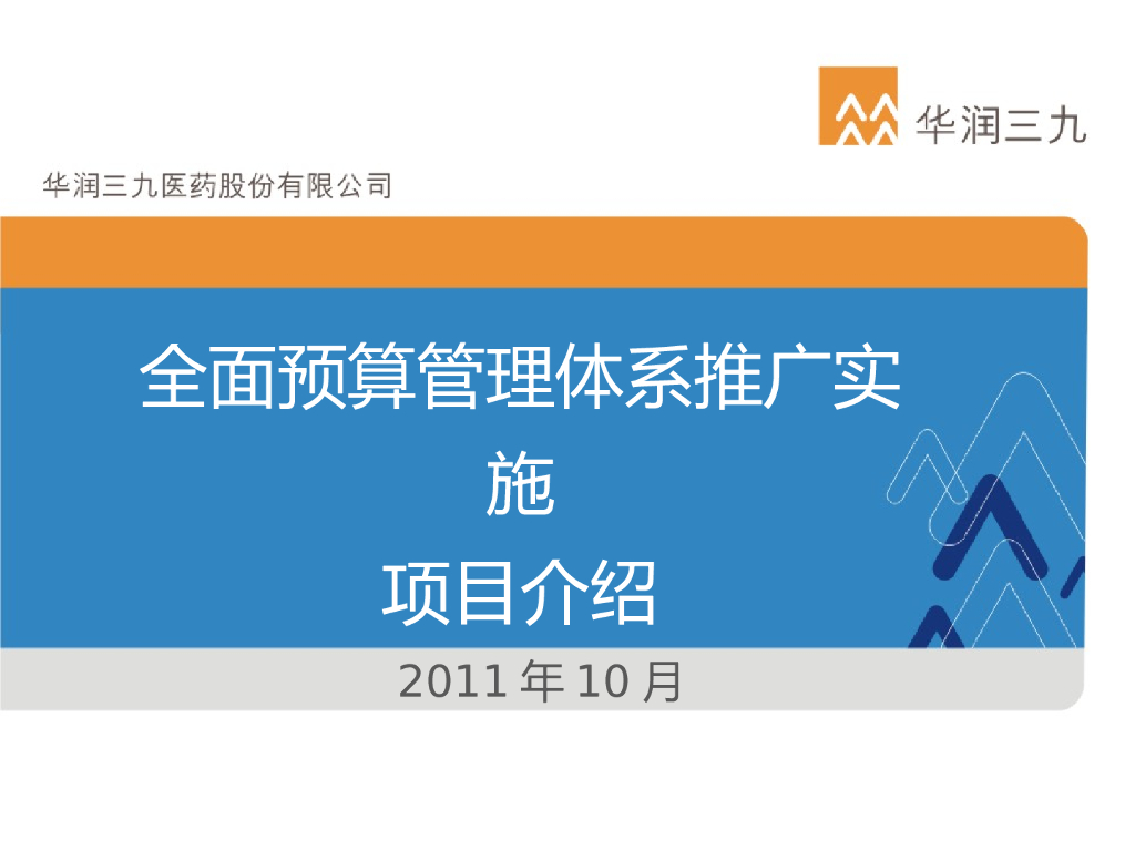 【知名地产】全面预算管理体系推广实施项目（共39页）