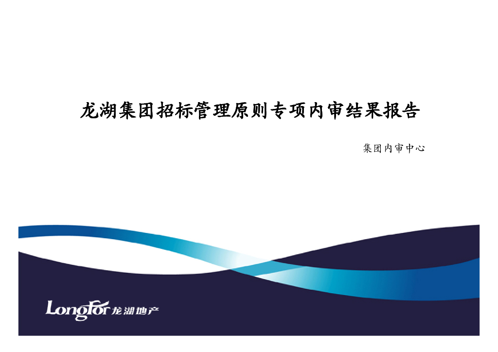 企业招标管理专项内审结果报告(PDF+41P)