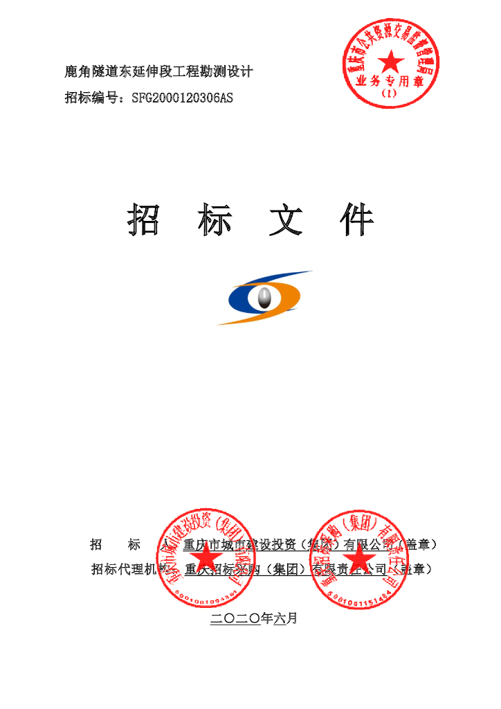 隧道东延伸段工程勘测设计招标文件