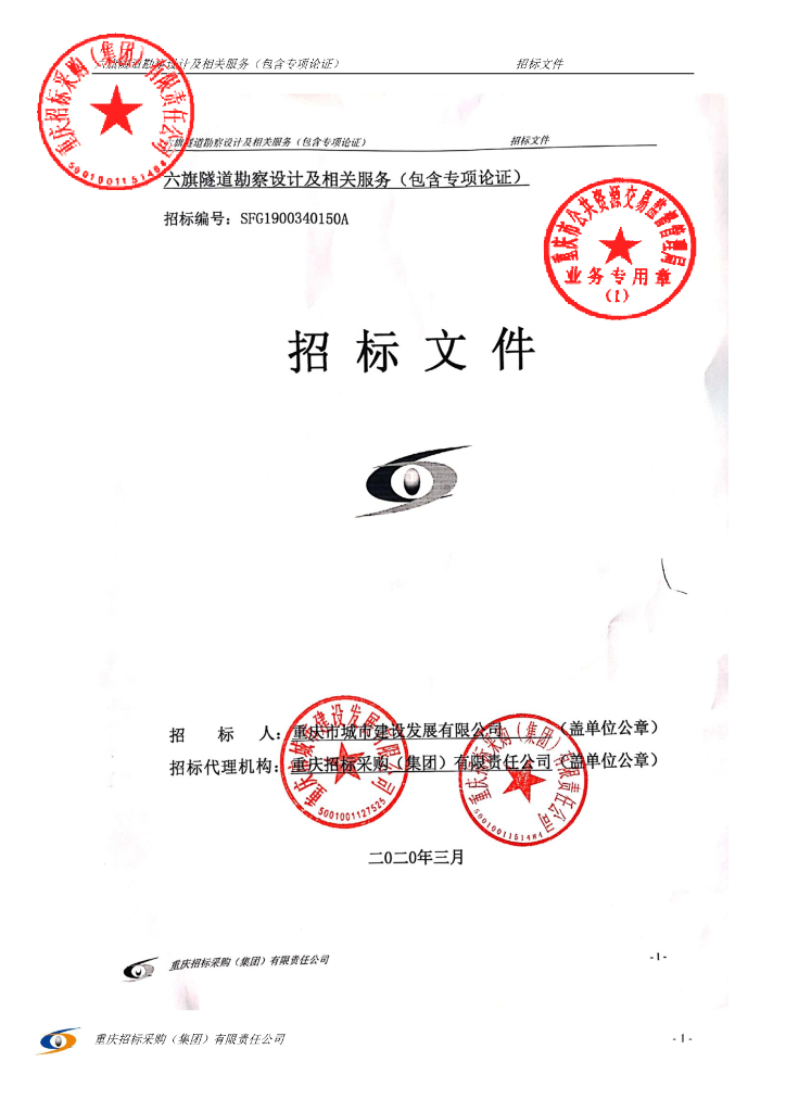 隧道设计及服务含专家论证招标文件2020