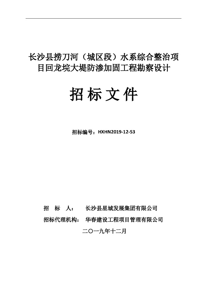 大堤防渗加固工程勘察设计招标文件
