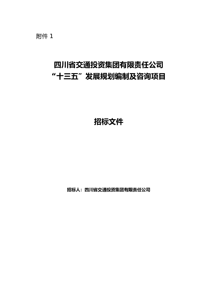 咨询项目招标文件（Word，共28页）