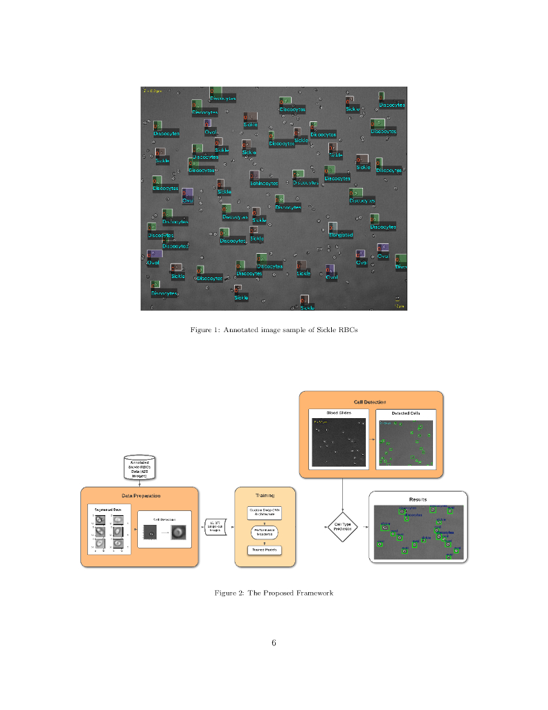 镰状细胞病红细胞分类和计量的一种新型深度学习模型（英文版）_第6页