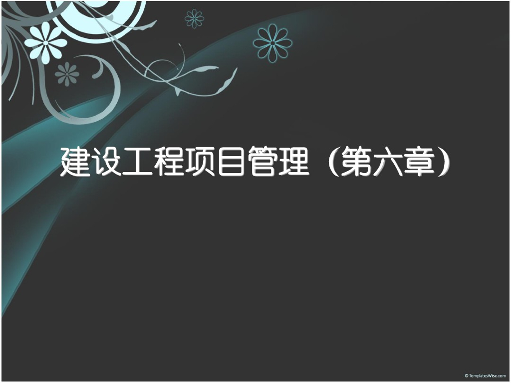建设工程项目管理课件PPT