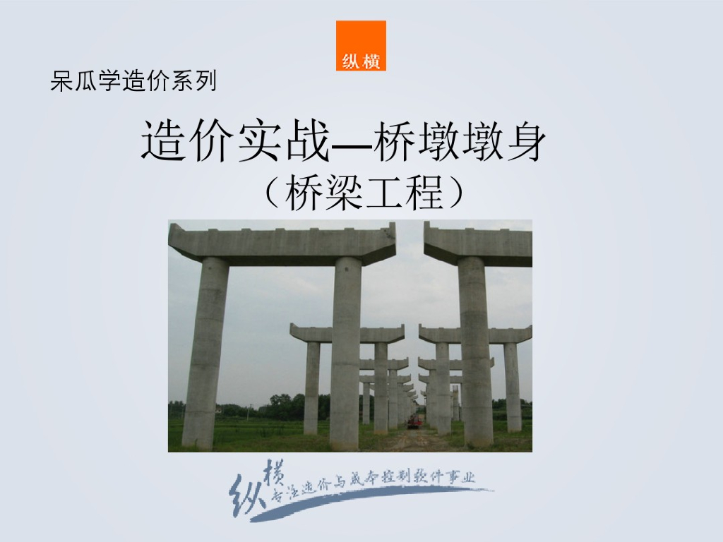 桥梁预算、造价实战--桥墩(桥梁工程)
