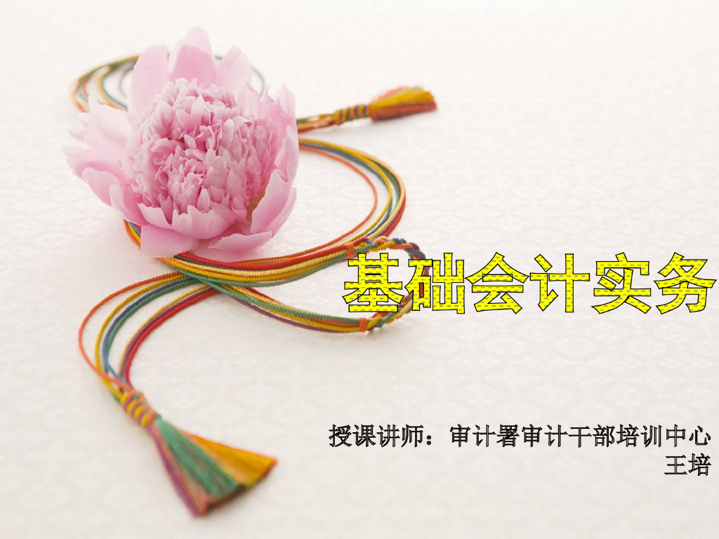 建设项目收支审计实务