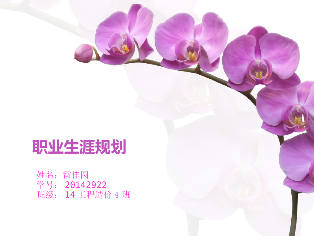 造价专业职业生涯规划