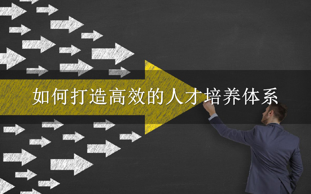 如何打造高效的人才培养体系