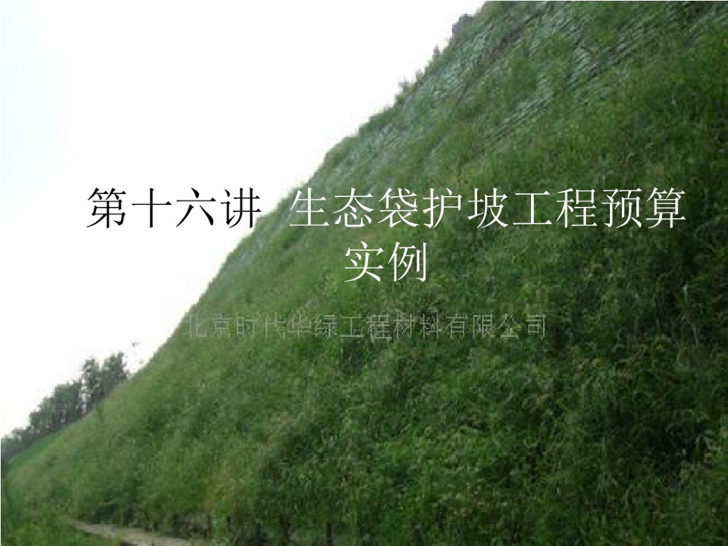 生态袋护坡工程预算实例
