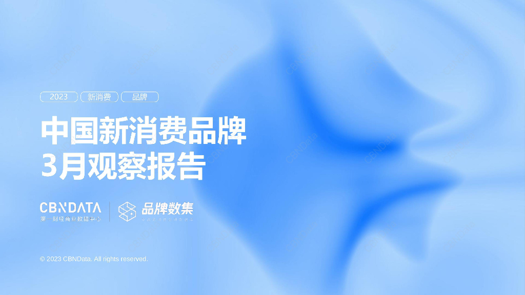 CBNData：2023年3月中国新消费品牌观察报告
