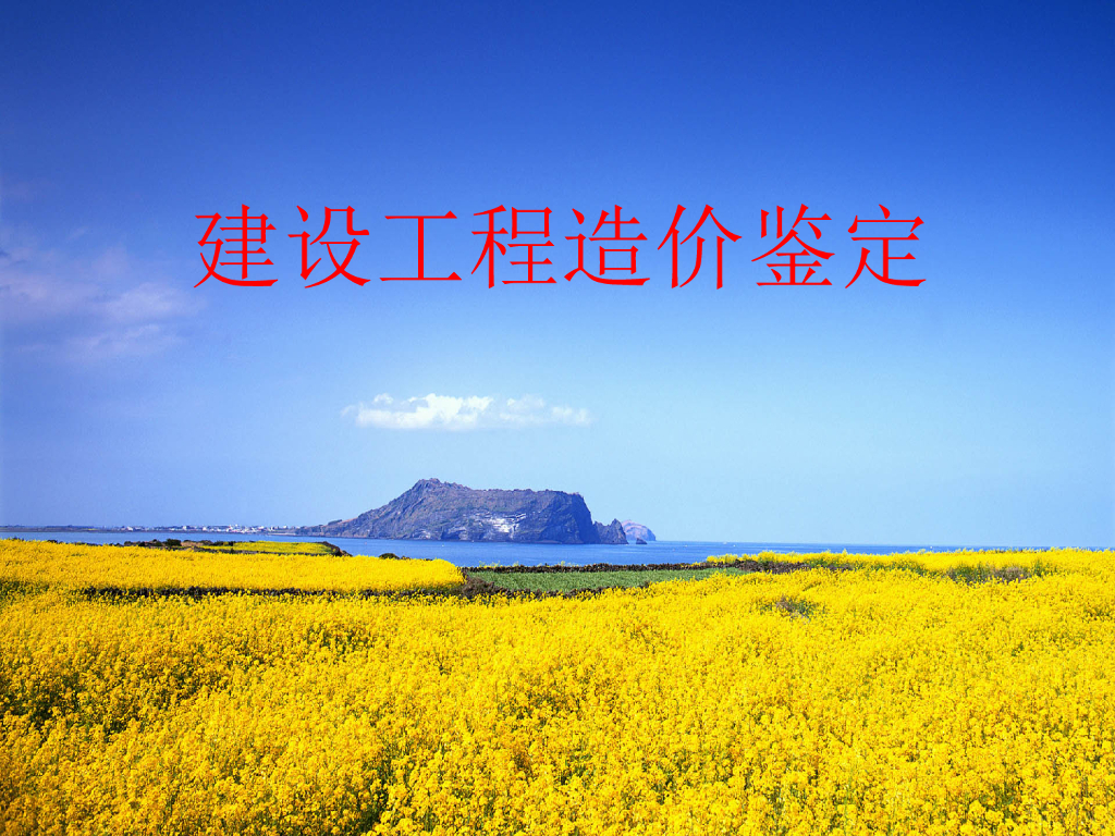 工程造价司法鉴定规范讲义