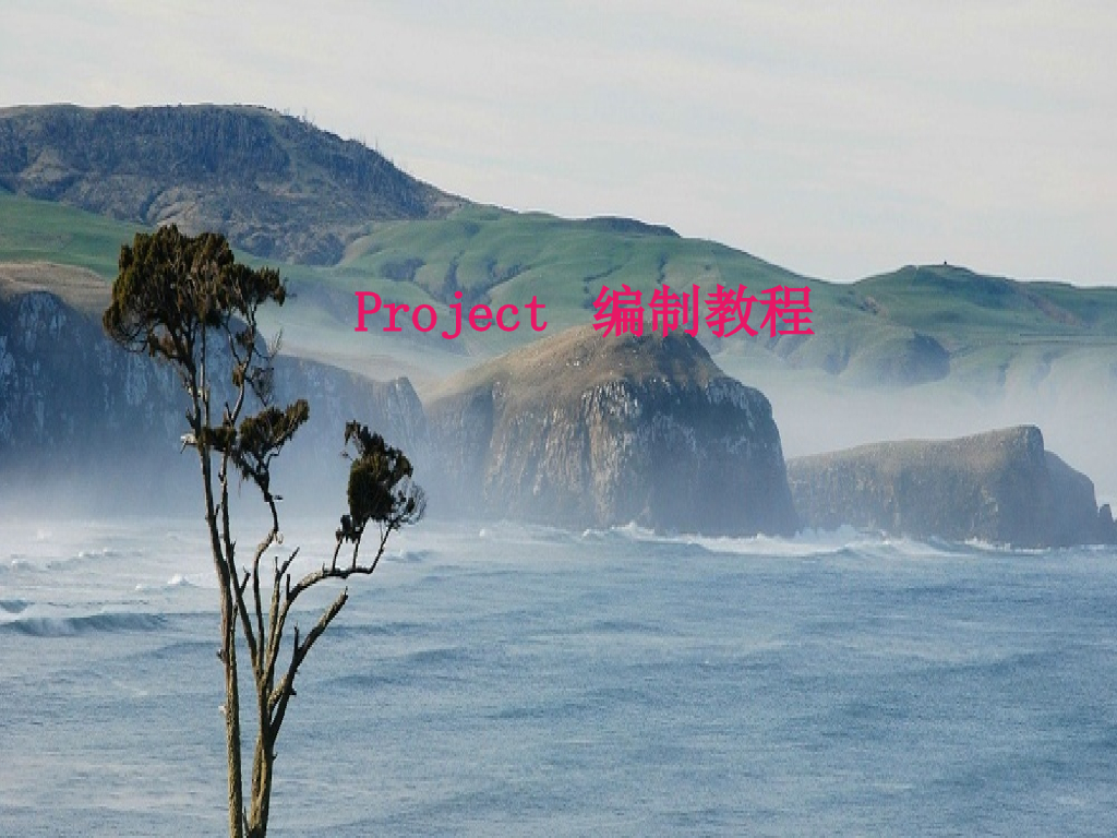 Project编制教程2007