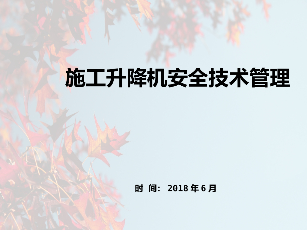 建设项目施工升降机安全技术管理（PPT）