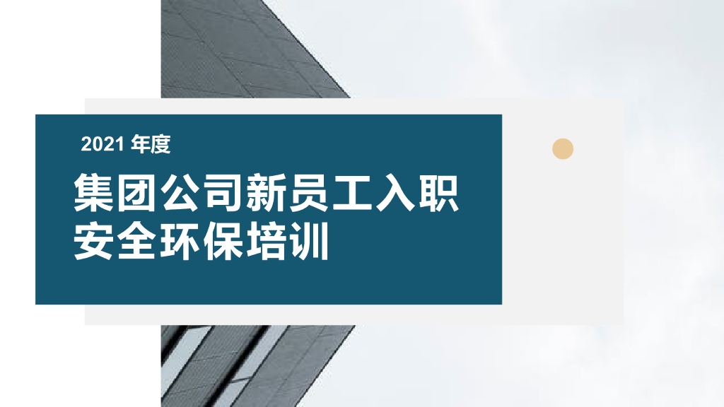 集团公司新员工入职安全环保培训（204页）