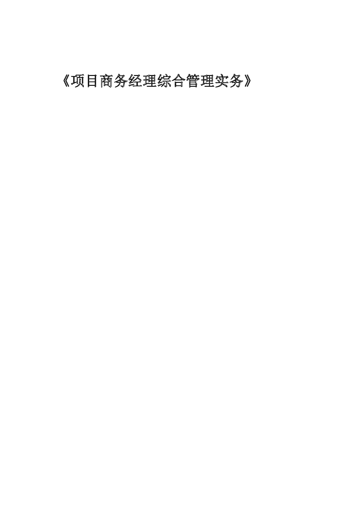 项目商务经理综合管理实务（204页）