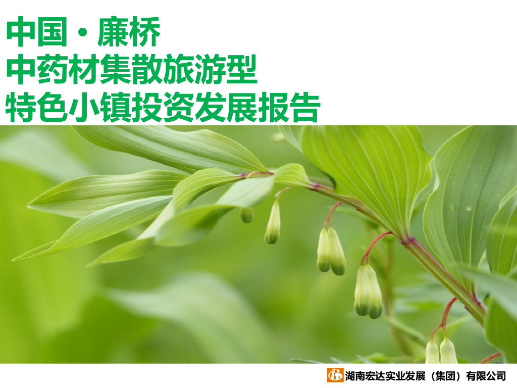 中药材集散旅游型特色小镇投资发展报告