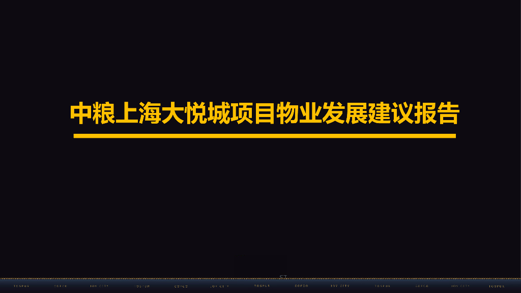 综合体项目物业发展建议报告（164页）