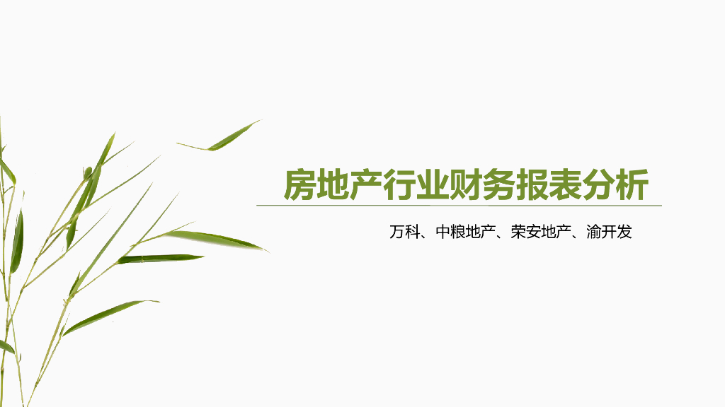 房地产行业财务报表分析