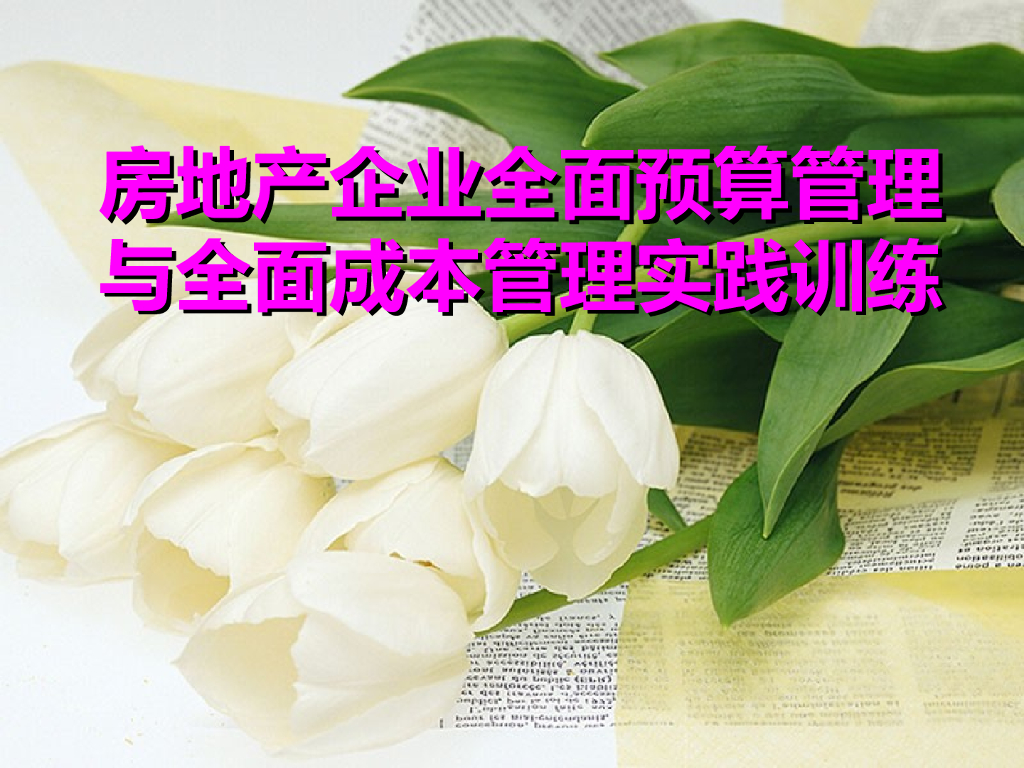 房地产企业全面预算管理与全面成本管理讲解（含案例）