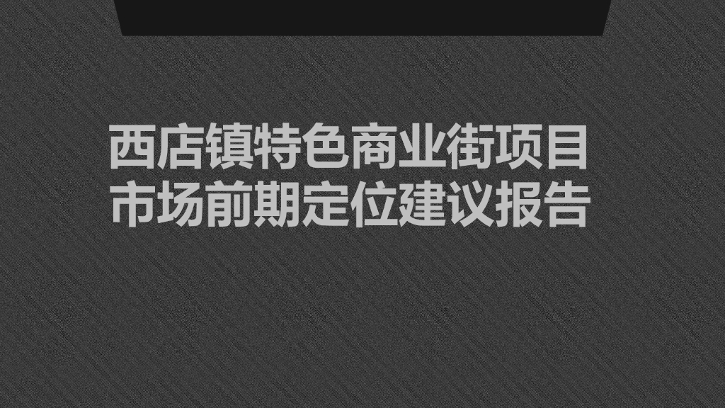 特色商业街项目市场前期定位建议报告（72页）