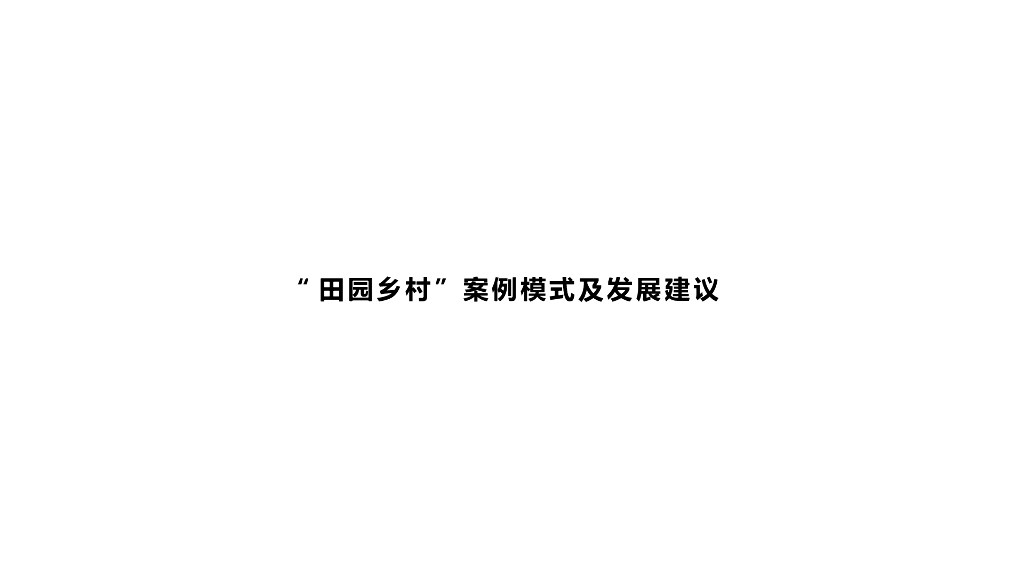 “田园乡村”案例模式及发展建议（PPT）