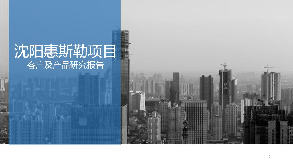 [沈阳]别墅项目客户及产品研究报告（52页）