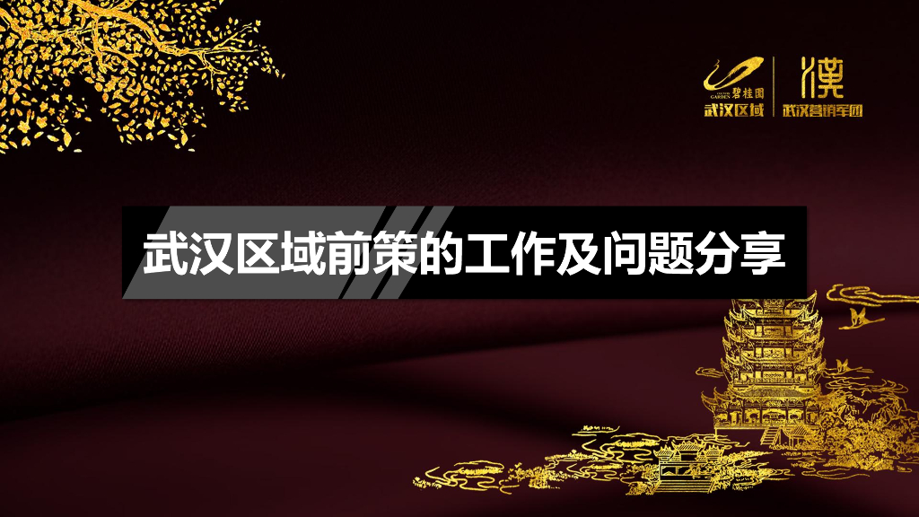 武汉区域前策工作及问题分享（51页）