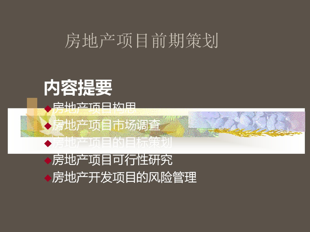 房地产项目前期策划(共42页)