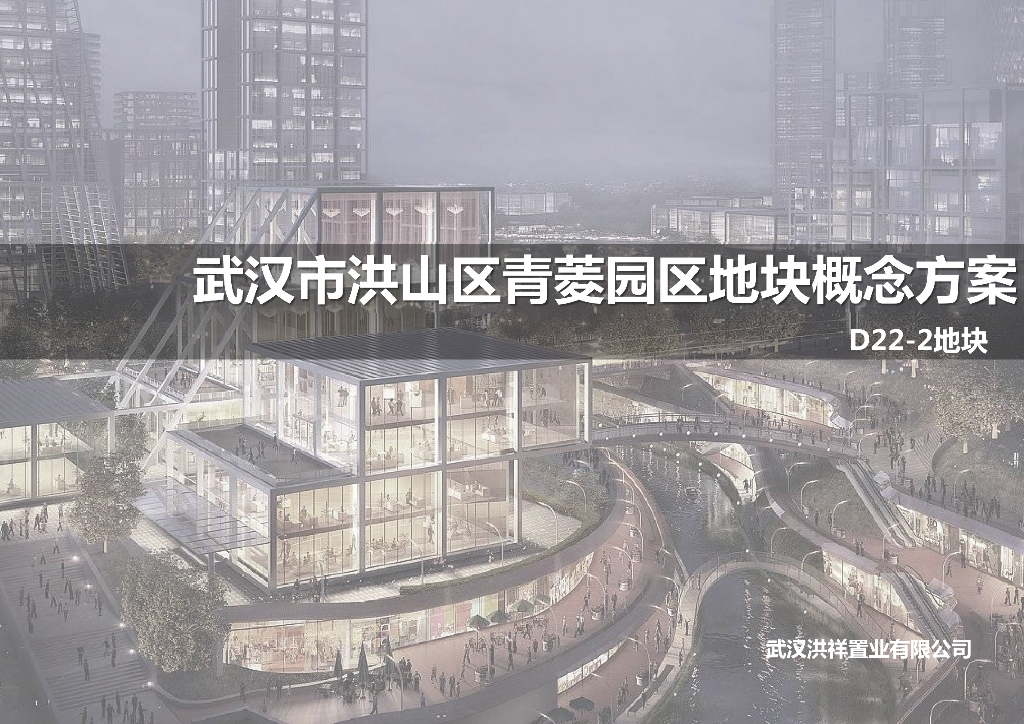 [武汉]综合楼项目地块规划概念方案（图文）