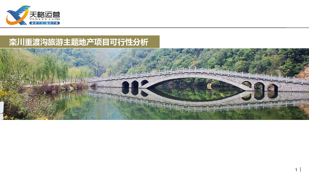 旅游地产项目前期策划提报（130页，图文并茂）