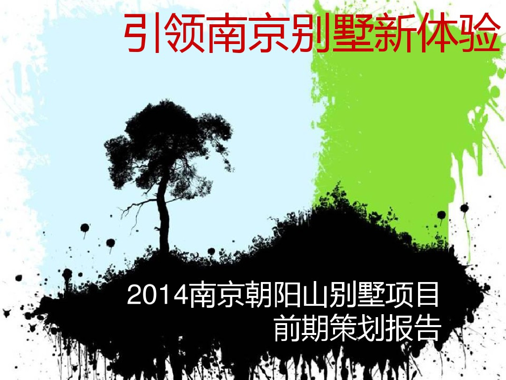 [南京]房地产别墅项目前期策划报告